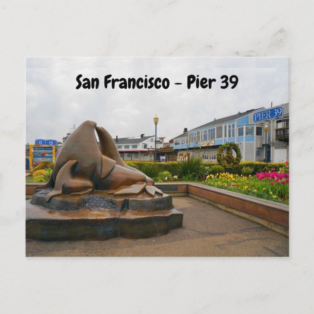 Cartão Postal Cartão-postal San Francisco Pier 39 #13 (Frente)