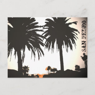 Cartão Postal Cartão-postal San Pedro Royal Palms