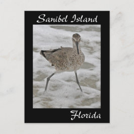 Cartão Postal Cartão-postal Sanibel Island