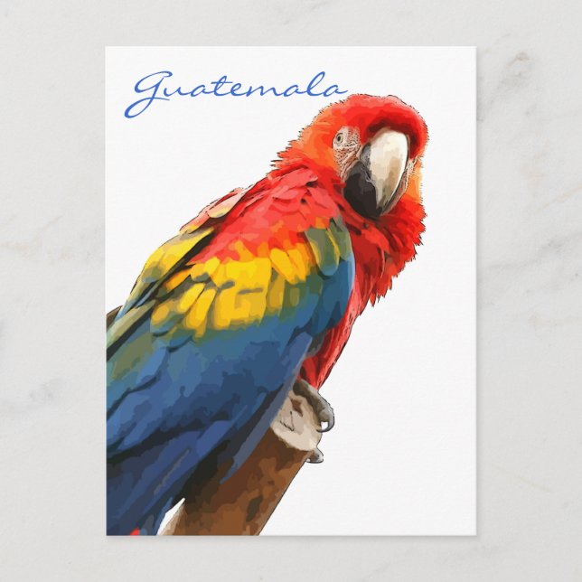 Cartão Postal Cartão-postal Scarlet Macaw Guatemala (Frente)