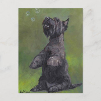 Cartão Postal Cartão-postal "Scottie Loves Bubbles"