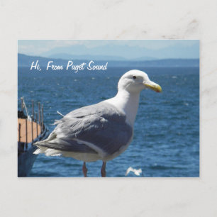 Cartão Postal Cartão-postal: Seagull nº 1