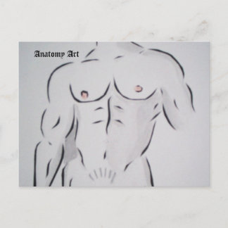 Cartão Postal Cartão-postal sem título