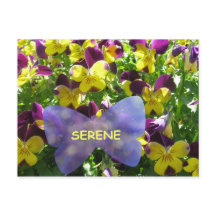 Cartão-postal Serene Pansy