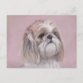Cartão Postal Cartão-postal Shihzu Dog