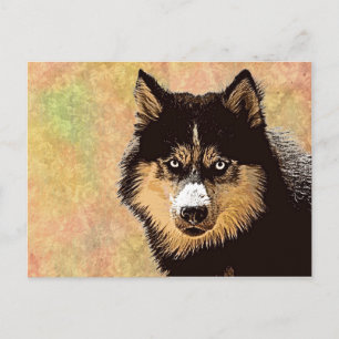 Cartão Postal Cartão-postal Siberian Husky