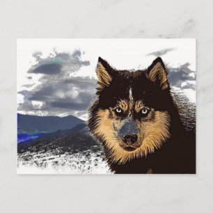 Cartão Postal Cartão-postal Siberian Husky