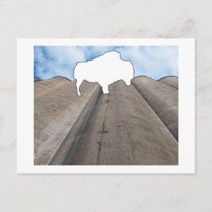Cartão Postal Cartão-postal Silo e Buffalo
