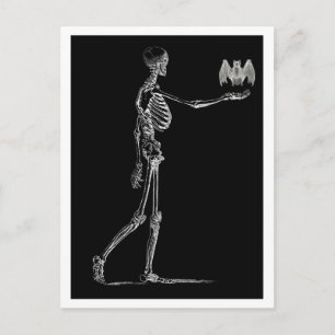Cartão Postal Cartão-postal Skeleton e Bat