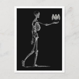 Cartão Postal Cartão-postal Skeleton e Bat