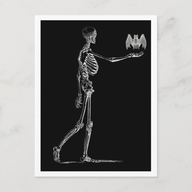 Cartão Postal Cartão-postal Skeleton e Bat (Frente)