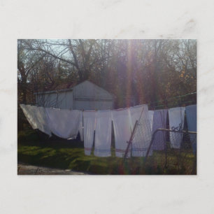 Cartão Postal Cartão-postal "Soaking Up The Sun"