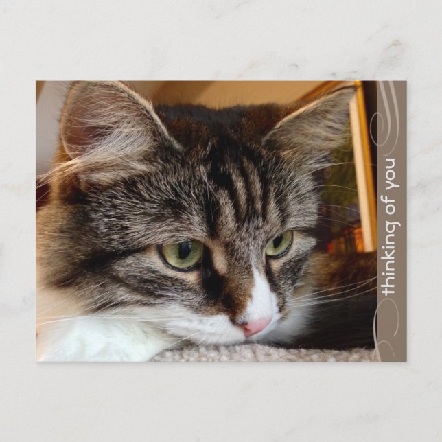 Cartão Postal Cartão-postal Soulerian Pensando em Você (Frente)