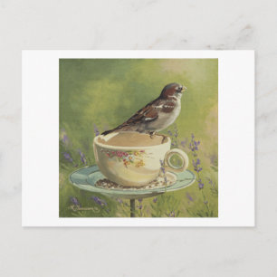 Cartão Postal Cartão-postal Sparrow 0470
