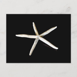 Cartão Postal Cartão-postal Starfish