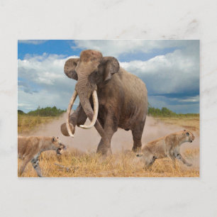 Cartão Postal Cartão-postal Steppe Mammoth