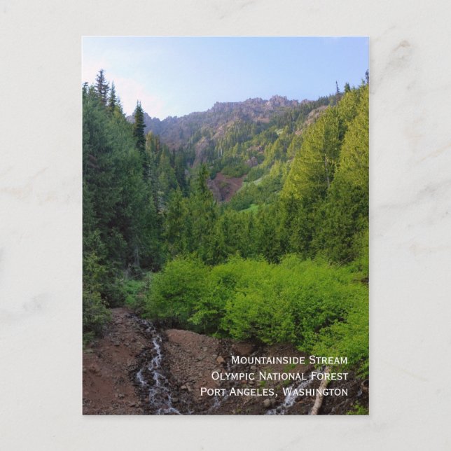 Cartão Postal Cartão-postal Stream de Montanha (Frente)