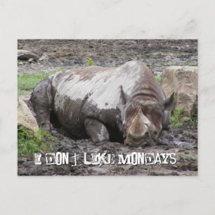Cartão Postal Cartão-postal Sulking Rhino