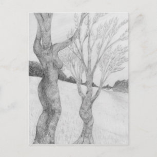 Cartão Postal Cartão-postal SunGathering