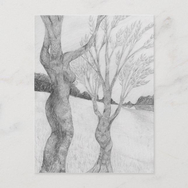 Cartão Postal Cartão-postal SunGathering (Frente)