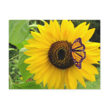 Cartão-postal Sunny Summer