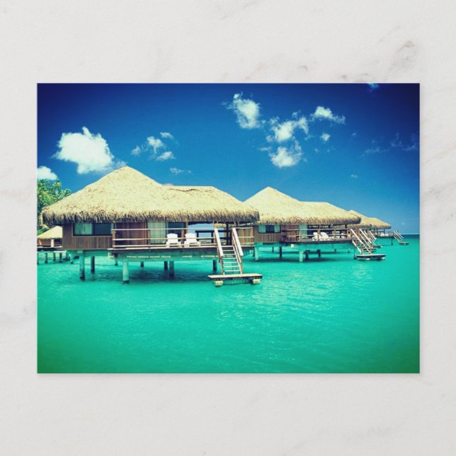 Cartão Postal Cartão-postal - Supervisionando o oceano (Frente)