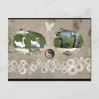 Cartão Postal Cartão-postal Swan Balance