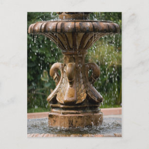 Cartão Postal Cartão-postal Swan Fountain