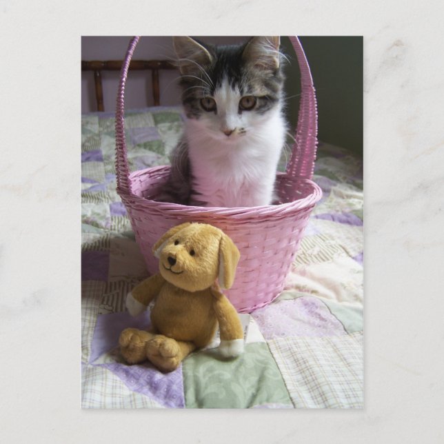 Cartão Postal Cartão-postal SweetieKitty (Frente)