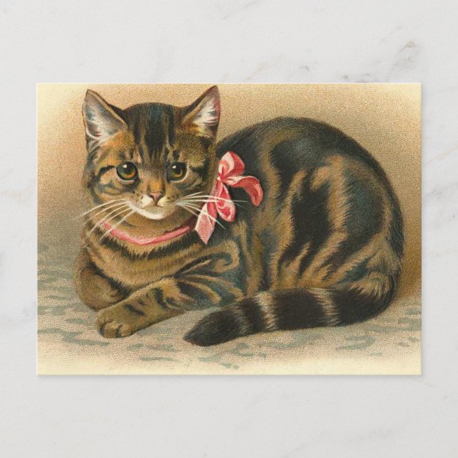 Cartão Postal Cartão-postal "Tabby Cat" (Frente)