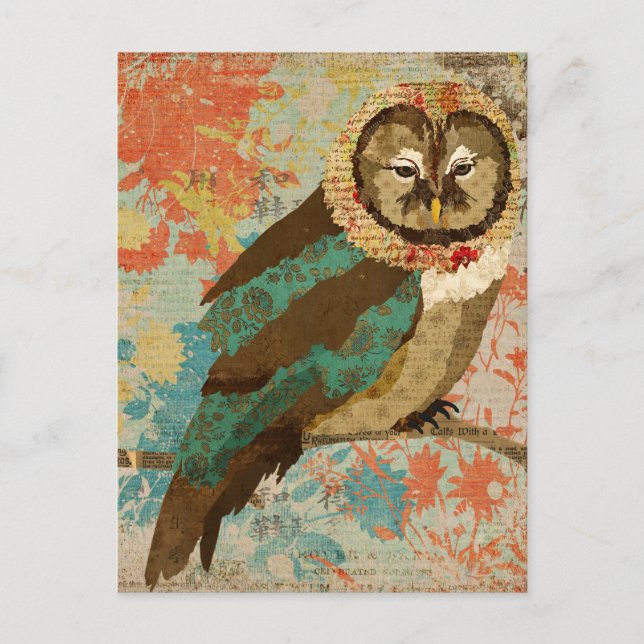 Cartão Postal Cartão-postal Teal Owl (Frente)