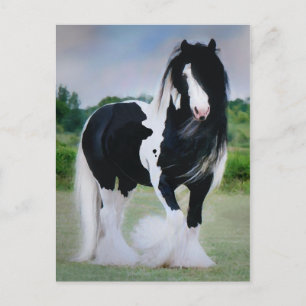 Cartão Postal Cartão-postal "Tessa"