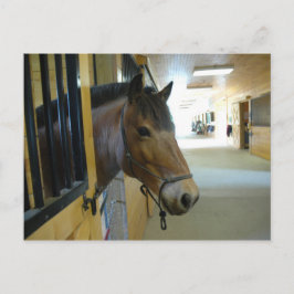 Cartão Postal Cartão-postal Titan