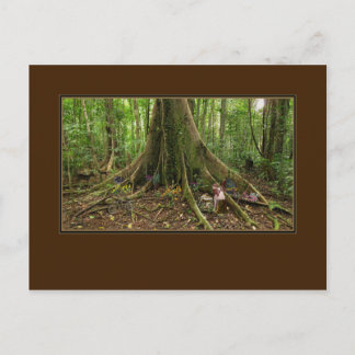 Cartão Postal Cartão-postal TreeHouse Montage