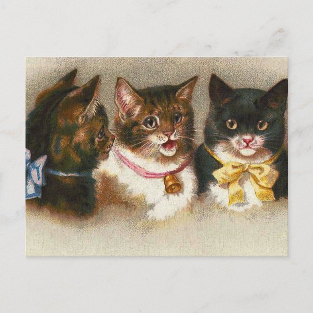 Cartão Postal Cartão-postal "Três Gatos Vintage" (Frente)