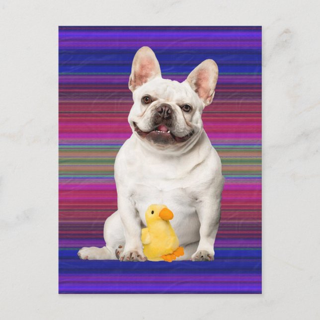 Cartão Postal Cartão-postal "Tuffy McTuggs" (Frente)