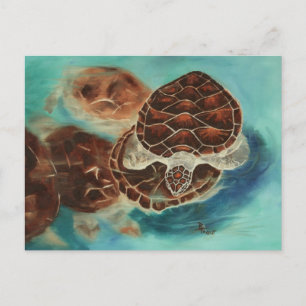 Cartão Postal Cartão-postal Turtle Time