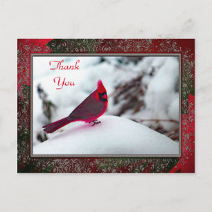 Cartão Postal Cartão-postal TY do Cardeal 6241