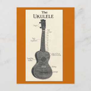 Cartão Postal Cartão-postal Ukulele