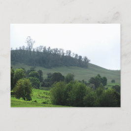 Cartão Postal Cartão-postal Upcountry brilhante