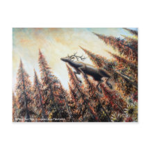 Cartão-postal - Veado Saltador