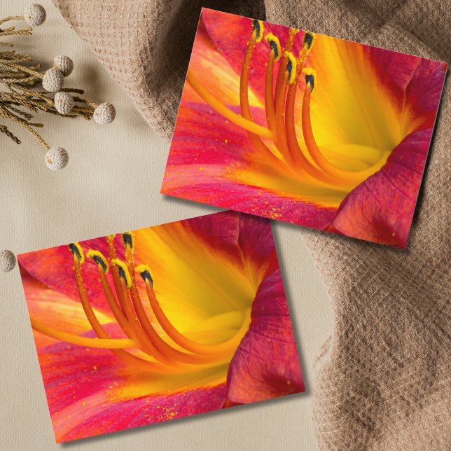 Cartão Postal Cartão-postal vermelho gracioso (Criador carregado)