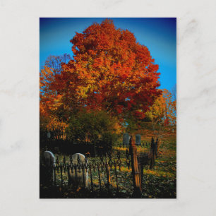 Cartão Postal Cartão-postal vermelho para sempre