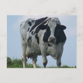 Cartão Postal Cartão-postal VERMONT DAIRY