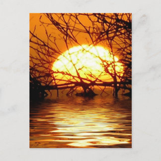 Cartão Postal Cartão-postal vertical sunset líquido