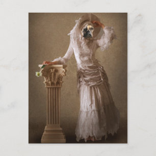 Cartão Postal Cartão-postal Vestido
