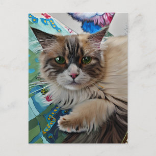 Cartão Postal Cartão-postal Vincent Cat Gogh