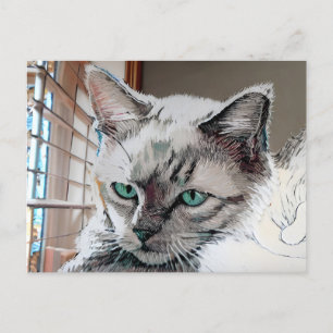 Cartão Postal Cartão-postal Vincent Cat Gogh