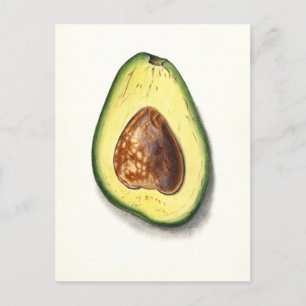 Cartão Postal Cartão-postal Vintage Avocado Botânico
