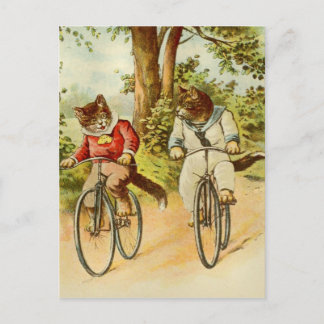 Cartão Postal Cartão-postal Vintage Cats Riding Bicicletas Ilust